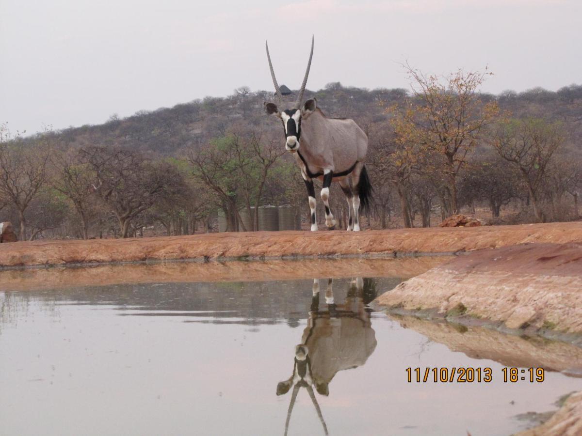 Okutala Etosha Lodge Outjo Exterior foto